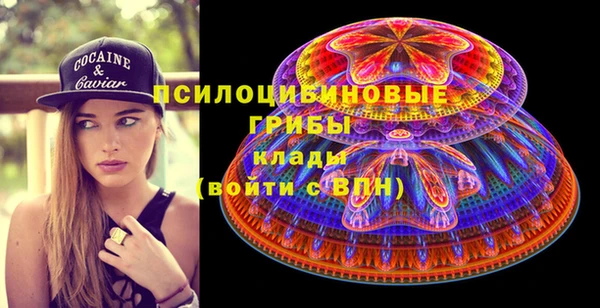 сатива Волосово