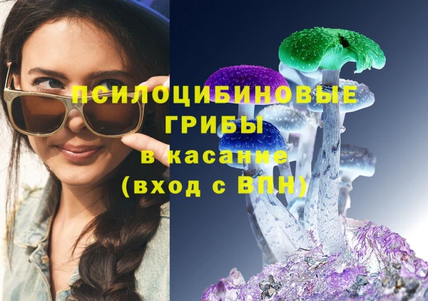 сатива Волосово